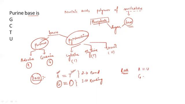 QUESTION SERIES BIOMOLECULES