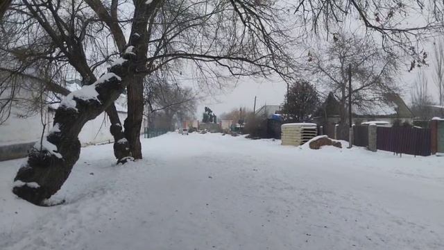 стихи