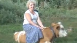 верхом на теленке