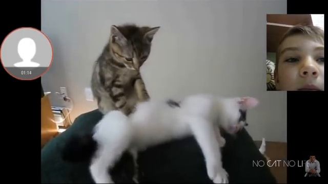 Тест на психику Челленж смотреть онлайн