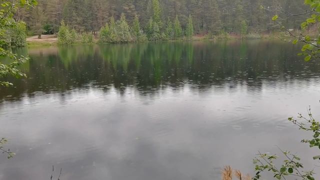 Почему не полю крапиву? Беру рецепты на кОпиЛке здоровьЯ. Сирень для суставов
