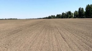 Черный пар. 12.7.24