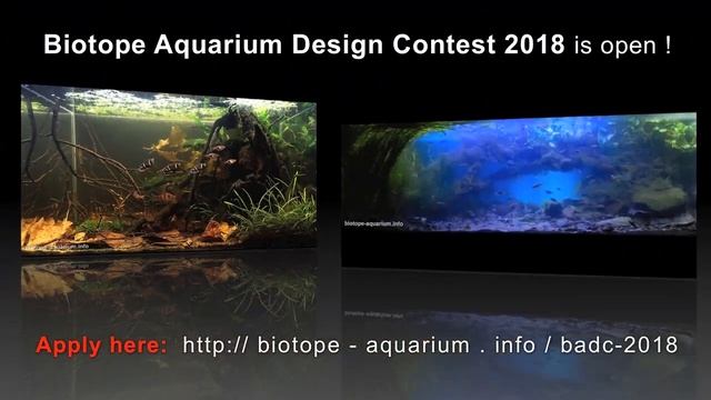 BADC 2018 - contest open for entries! Apply now! :)