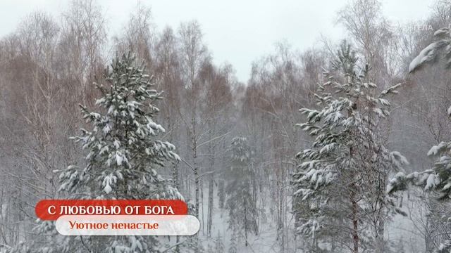 Уютное ненастье | С любовью от Бога