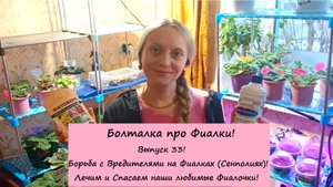 Болталка про Фиалки! Выпуск 33: Борьба с Вредителями на Фиалках (Сенполиях)! Лечим и Спасаем Фиалки!