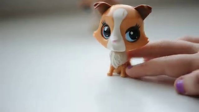 Вопросы! Вопросы? Вопросы- спрашивайте!! смотреть онлайн