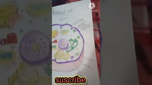 drowing of animal cell #artingmithun 01 # mithun #viral  #shortsvideo