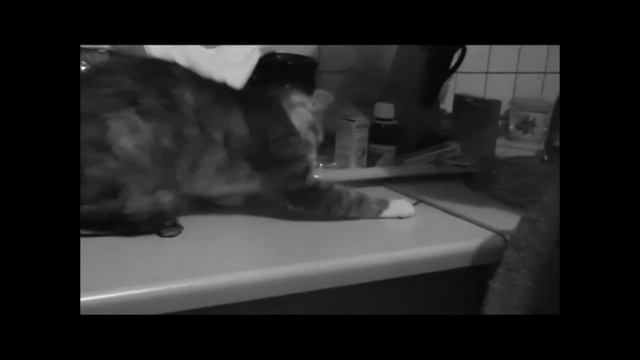 ASKTYUNINA #2 смотреть онлайн