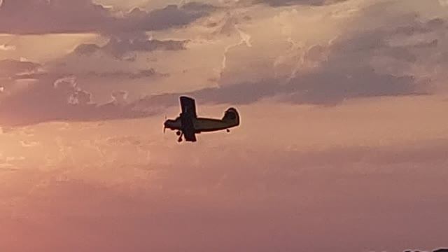 Ан-2.  Авиахимработы. Краснодарский край.mp4