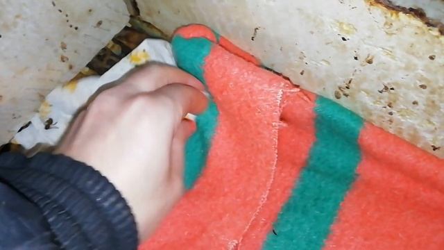 Конец первой половины зимовки. - Состояние пчел в зимовнике.