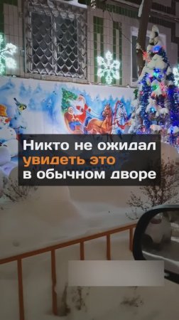 Никто не ожидал увидеть это в обычном дворе