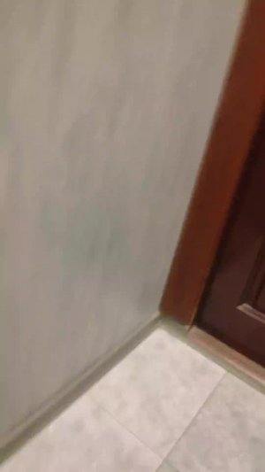 ьршвбр.оквадое нишангмжнжжев