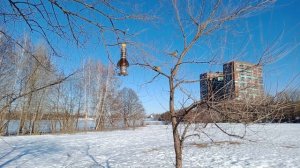 Homemade bird feeder   Самодельная кормушка для птиц