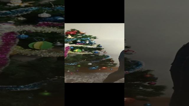 1000110667.mp4пуховые изделия у Ольги.т.89020931602