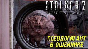 ПСЕВДОГИГАНТ В ОШЕЙНИКЕ ➤ S.T.A.L.K.E.R. 2: Сердце Чернобыля #34