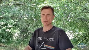 Алкоголь и польза для здоровья