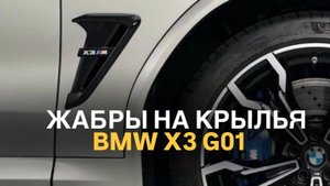 Жабры на крылья BMW X3 G01