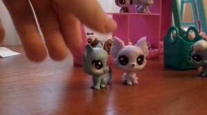 Мама купи мне Lps!