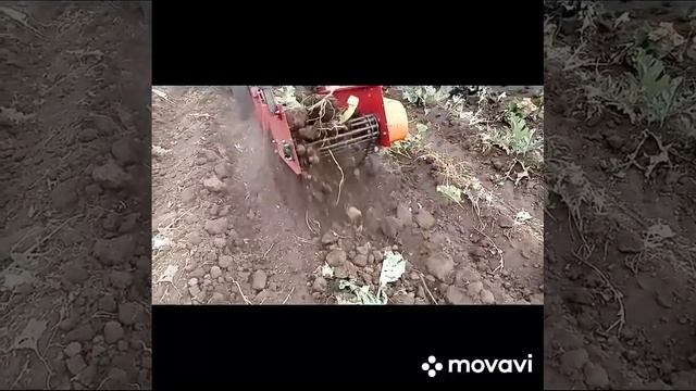 уборка хрена смотреть онлайн