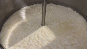 Ферма Рождествено - КРС, молочная продукция