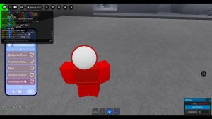 robloxapp-20241124-2057274