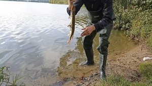 26 августа 2023 г.