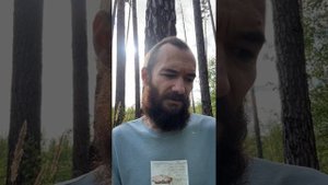12 лет микродозинга Мухомора.