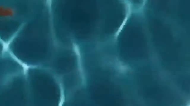 David Dobrik quarantine moments (2) смотреть онлайн