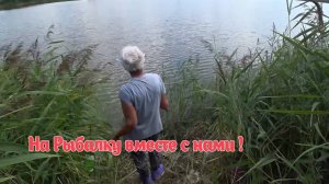 Рыбалка на карася и карпа! Клюет на каждом забросе ! Рыбалка на поплавочную удочку 2024