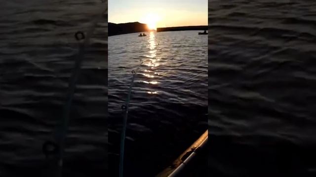 Рыбалка летом на Байкале #шорст #nature #друзья #отдых #бурятия #fishing