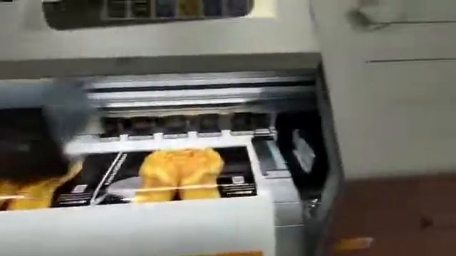 Xenon’s X2 Eco solvent printer with Epson i3200 print head.. смотреть онлайн