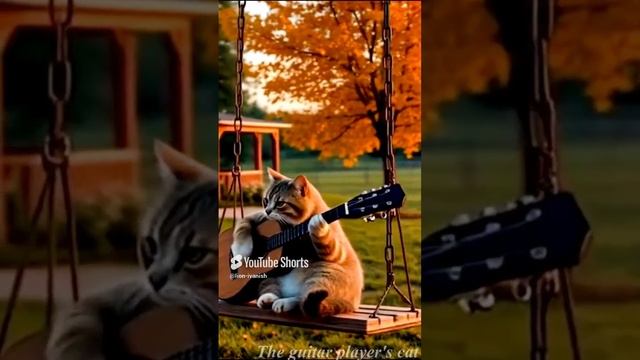 Lounge  Lion-ivanish   The guitar player's cat#music #cat #guitar