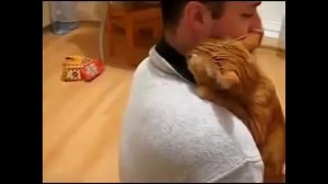 Кот обнимает хозяина