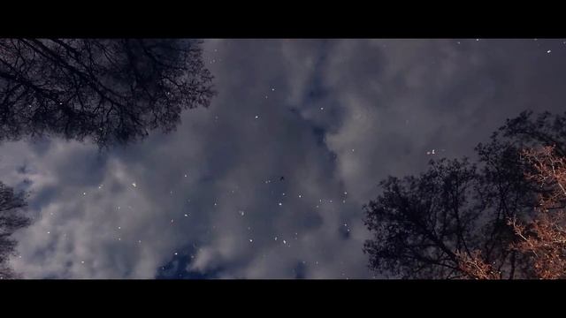 Идеальное утро. Только природа и мы... смотреть онлайн