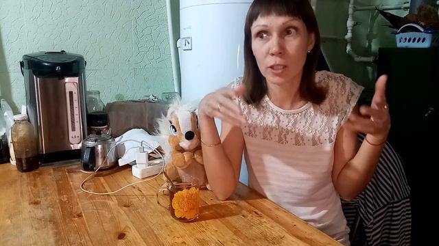 Эко... смотреть онлайн