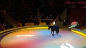 Цирк 4 Танцующая лошадь