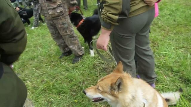 Ну здравствуй дорогая. смотреть онлайн