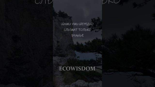 Мудрые слова. Расстояние между правдой и ложью #мудрыецитаты #ecowisdom #задумайтесь