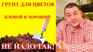 Важность грунта для комнатных растений. Снимаю розовые очки