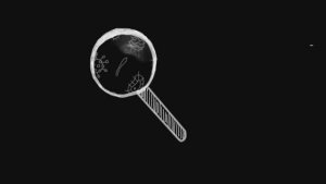 Выращивание колонии бактерий для опытов с различными антисептиками