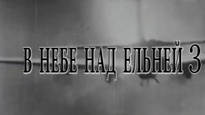 В небе над Ельней 3