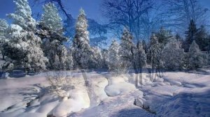 Одна снежинка-МИЛА КУТАФИНА@2025@