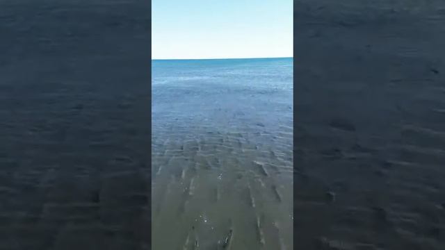 ВОТ ТАК НЕ ПУСКАЮТ САЗАНА НА НЕРЕСТ