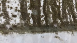 Кондиционер в пекарне. Есть проблемы!