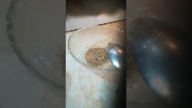 гатовим соус для пельменей часть2