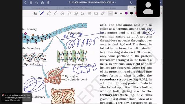 Irfan Habib | NCERT Solution | Biology XI | Biomolecules смотреть онлайн