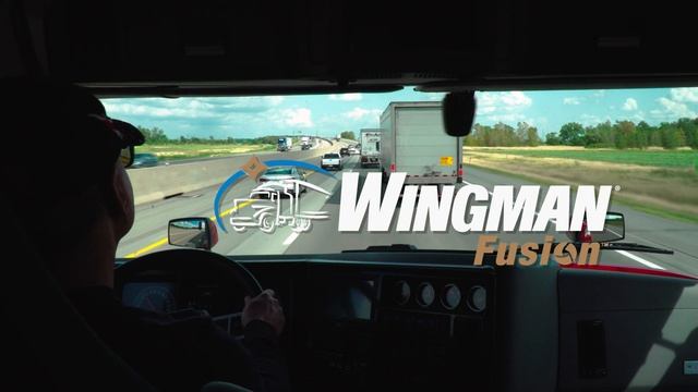 Bendix® Wingman® Fusion™ with Enhanced Feature Set (BW5017) смотреть онлайн