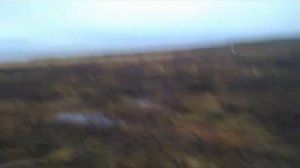 Тундра опять растаяла, климат сильно потеплел!