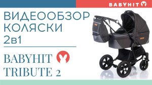 Видеообзор универсальной коляски 2в1 Babyhit Tribute 2