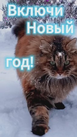 Включи Новый год!